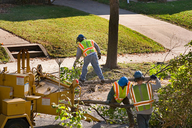 Best Leaf Removal  in Heavener, OK